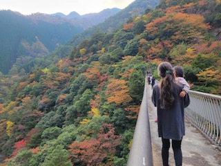 自然を満喫できる季節ですね