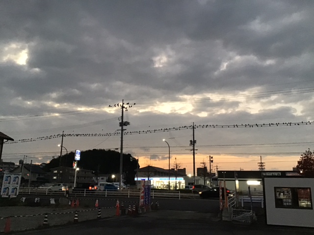 最近苦手なもの・・・