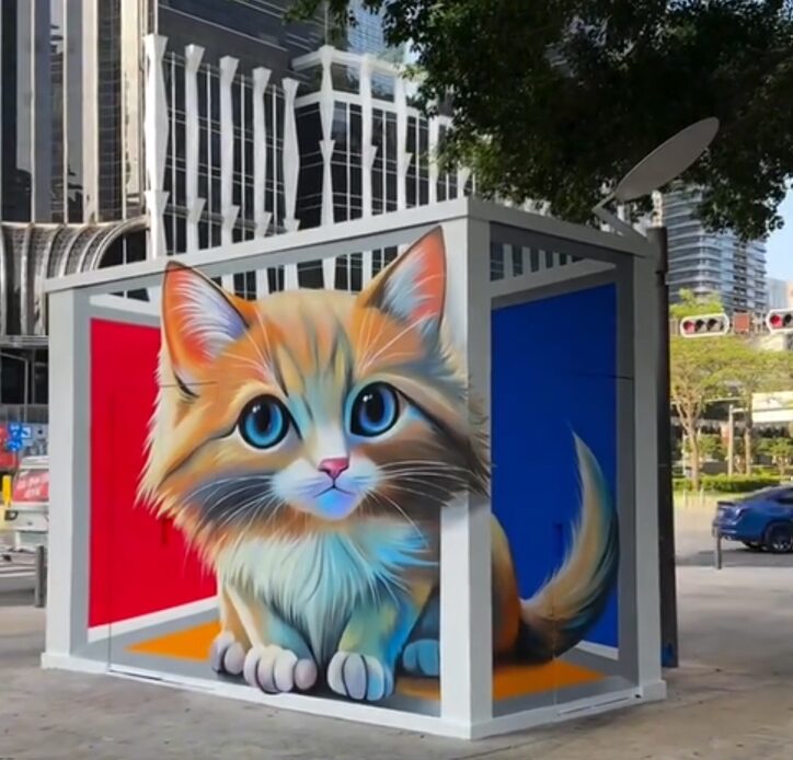 飛び出す・・・・。　